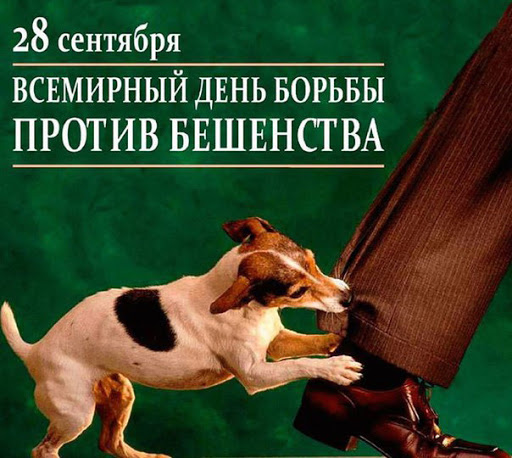 Всемирный день борьбы с бешенством