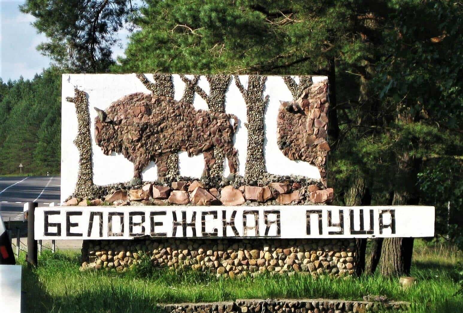 Экскурсия по основным достопримечательностям Национального парка «Беловежская пуща»